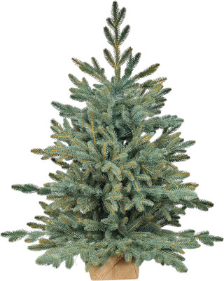 Ель искусственная National Tree Company Рождественская Премиум 90см / РД/ПР-ГЛ-90 (голубой) -