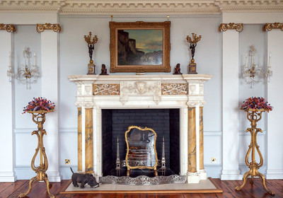 

Фотообои листовые, Абстракция 411