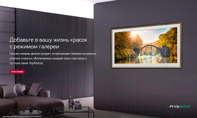 Телевизор LG OLED55C9