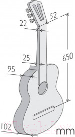 Акустическая гитара Alhambra 2F