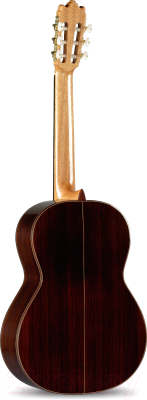 Акустическая гитара Alhambra 4P E2
