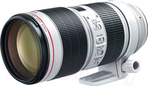 Длиннофокусный объектив Canon EF 70-200mm f/2.8L IS III USM (3044C005AA)