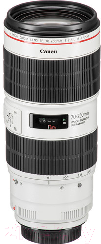 Длиннофокусный объектив Canon EF 70-200mm f/2.8L IS III USM (3044C005AA)