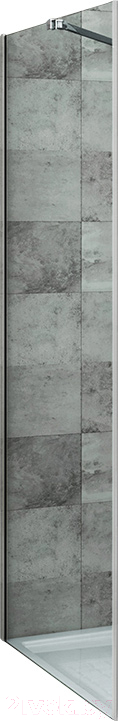 Душевая стенка Roltechnik Elegant Neo Line GBN/90 (хром/прозрачное стекло)