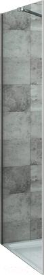 Душевая стенка Roltechnik Elegant Neo Line GBN/80 (хром/прозрачное стекло)