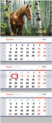 Календарь настенный BG Березовая роща / 380974  (2026г) -