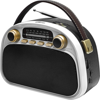 Радиоприемник Ritmix RPR-040 (белый) - 
