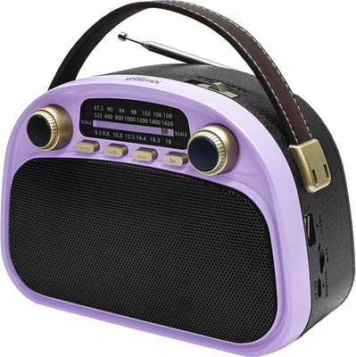 Радиоприемник Ritmix RPR-040 (лавандовый) - 