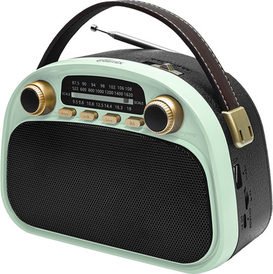 Радиоприемник Ritmix RPR-040 (мятный) - 