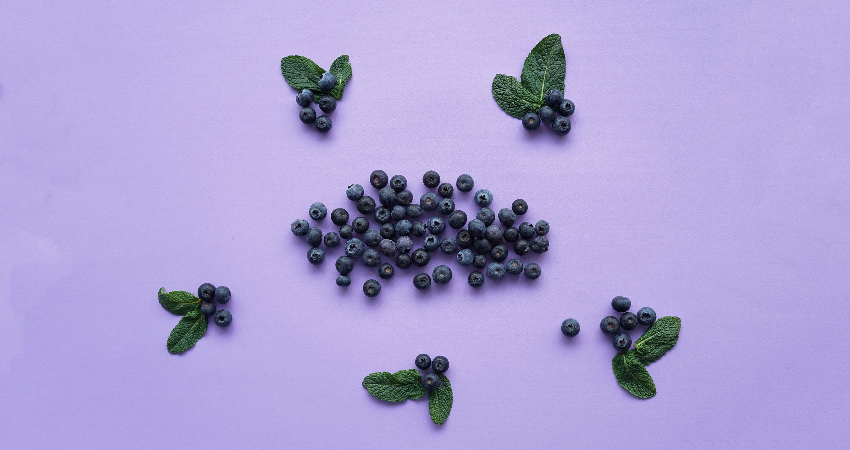 Голубика садовая выращивание и уход в Беларуси