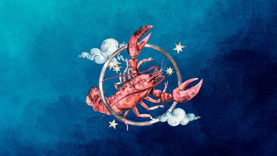 Что подарить раку