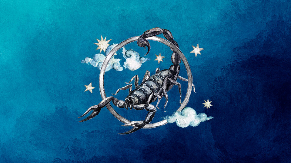 Что подарить скорпиону