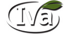 Iva