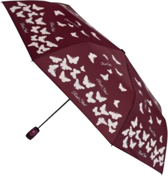 Зонт складной RST Umbrella 3810A-C2