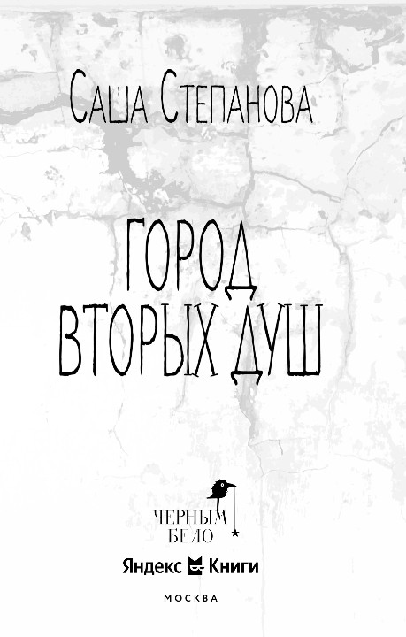 Художественная книга Черным-бело Город вторых душ, твердая обложка (Степанова Саша) — фото 2