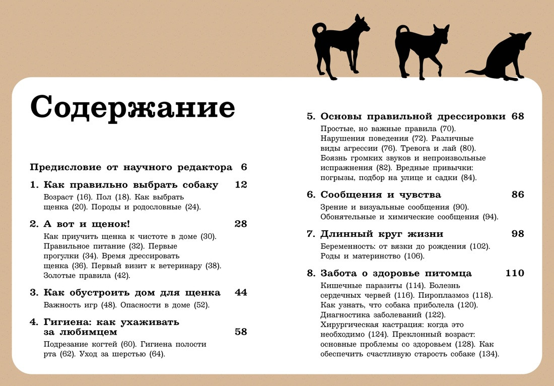 Книга КоЛибри Хвалить! Кормить! Любить! (Бьянки П. 9785389293618) — фото 2