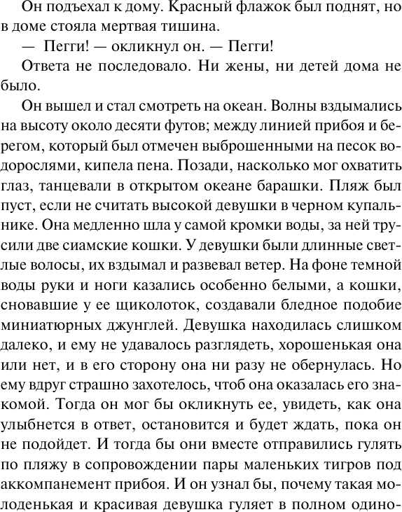 Художественная книга АСТ Голоса летнего дня. Хлеб по водам (Шоу Ирвин 9785171790318) — фото 5