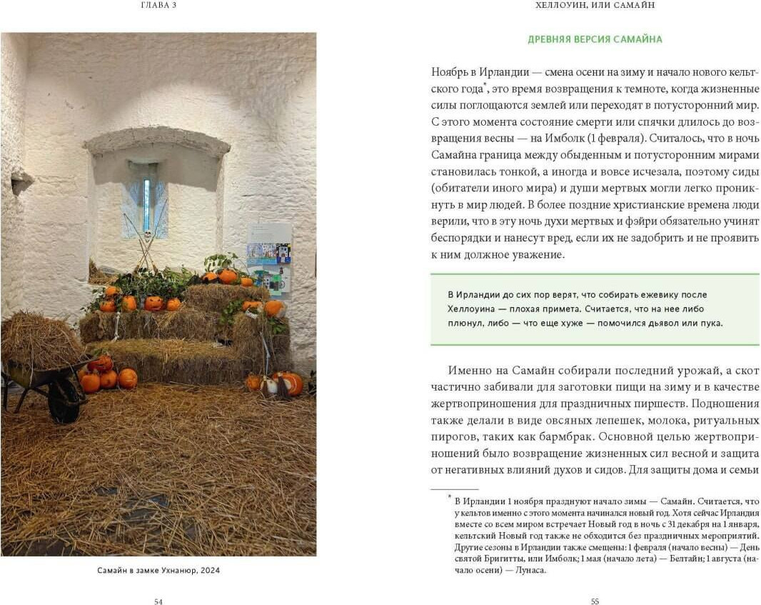 Книга МИФ Ирландская культура смерти (Московскова Екатерина 9785002502509) — фото 4