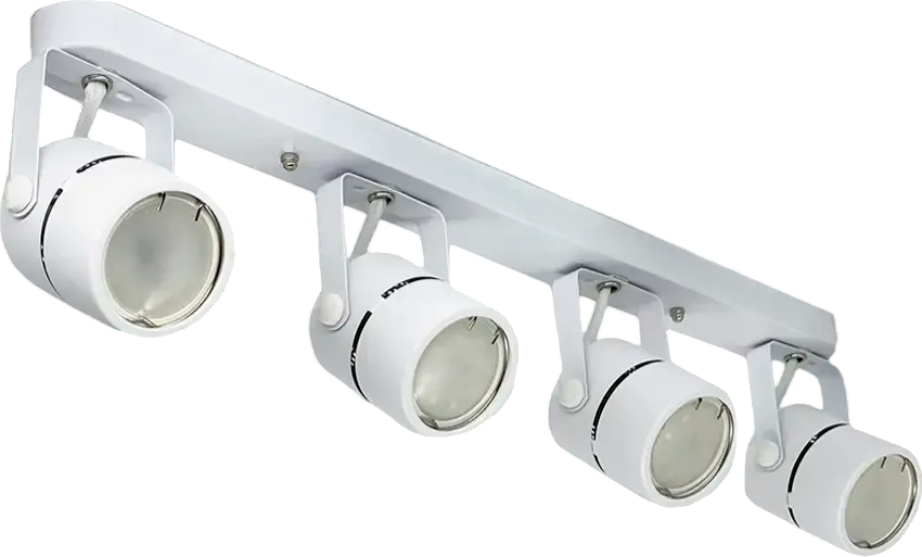 Спот Truenergy 21359 (с лампами General Lighting 661462 4шт)