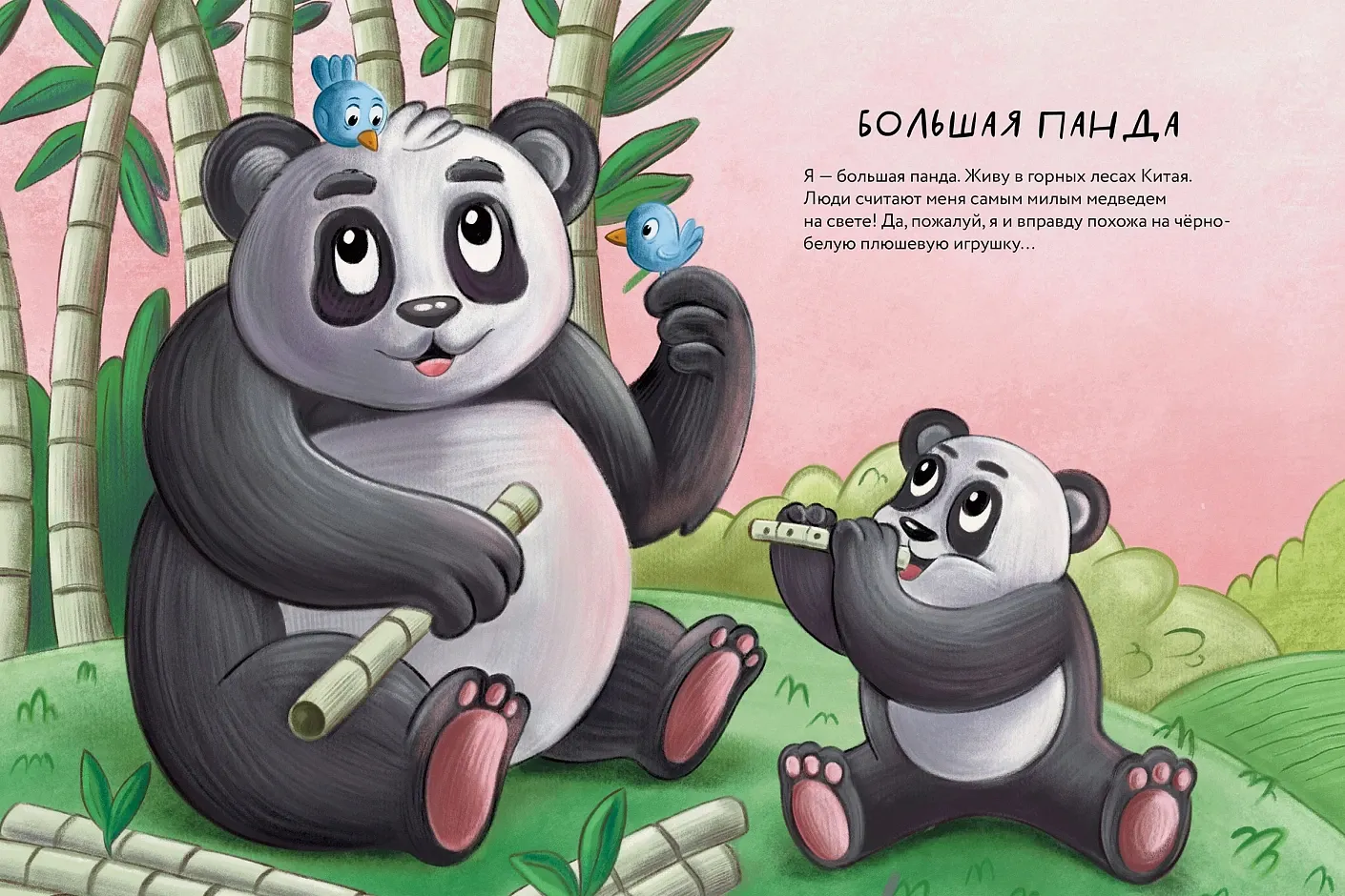 Художественная книга Альпина Косолапые медведи (Булгасова Анастасия 9785006309388) — фото 5