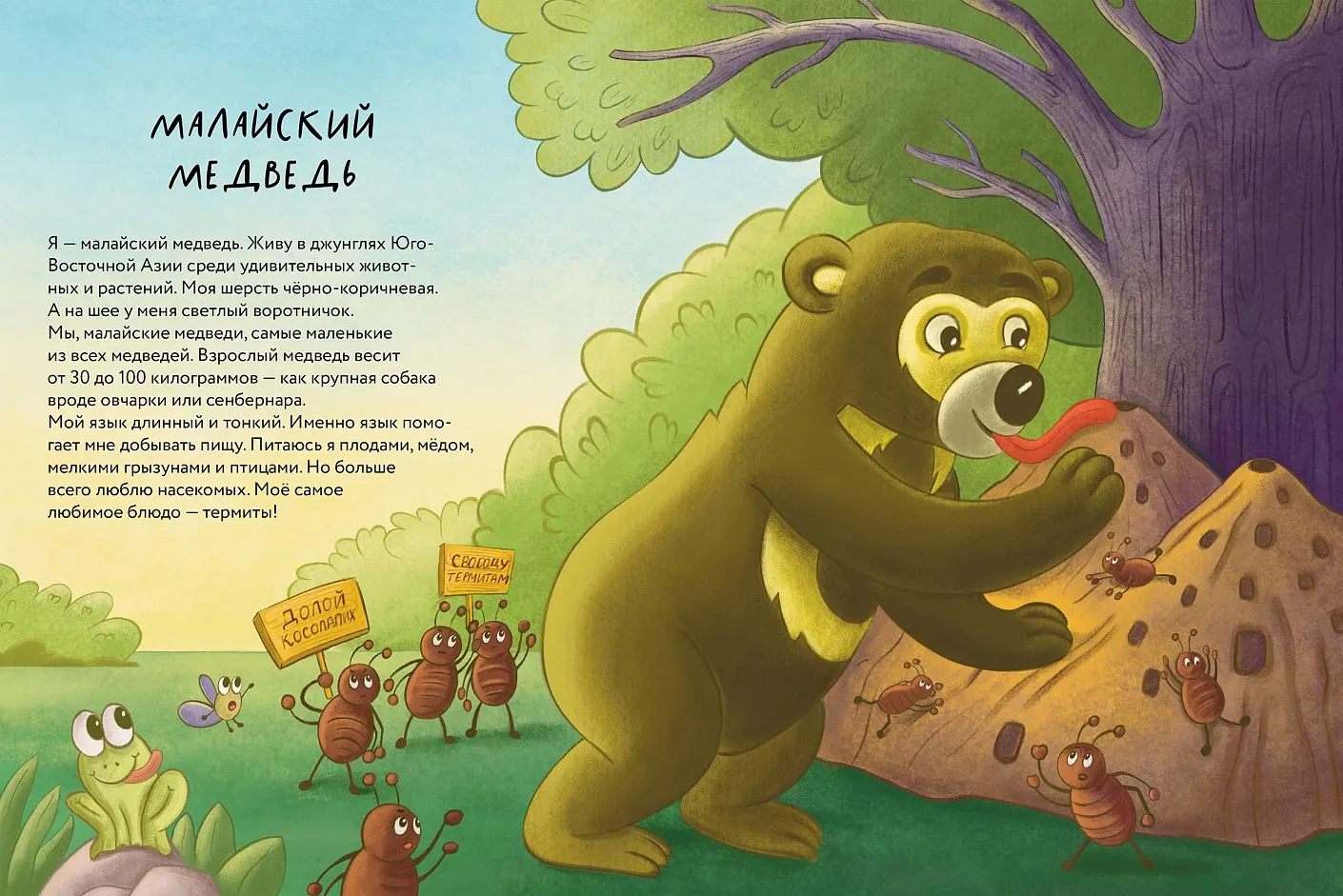 Художественная книга Альпина Косолапые медведи (Булгасова Анастасия 9785006309388) — фото 6
