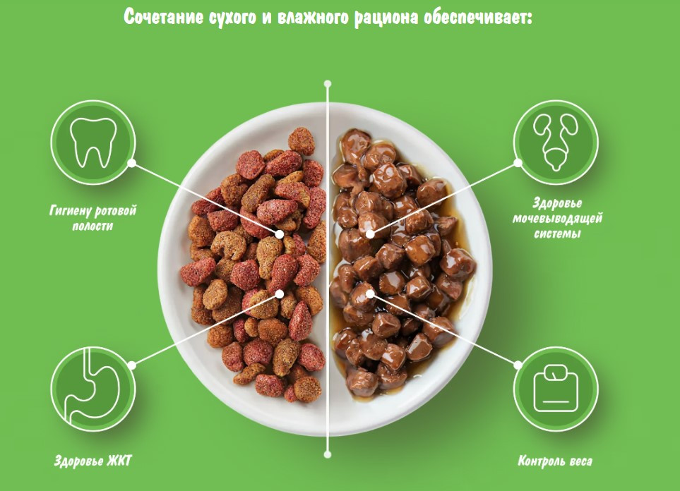Сухой корм для кошек Kitekat Мясной Пир (1.3кг) — фото 4