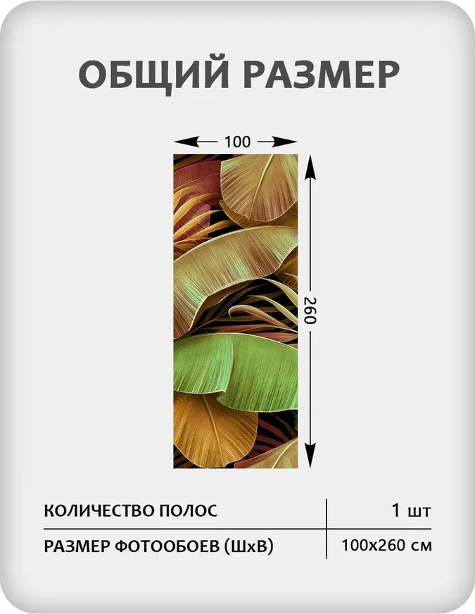 Фотообои листовые Citydecor Знойные тропики 50 (100x260см) — фото 3