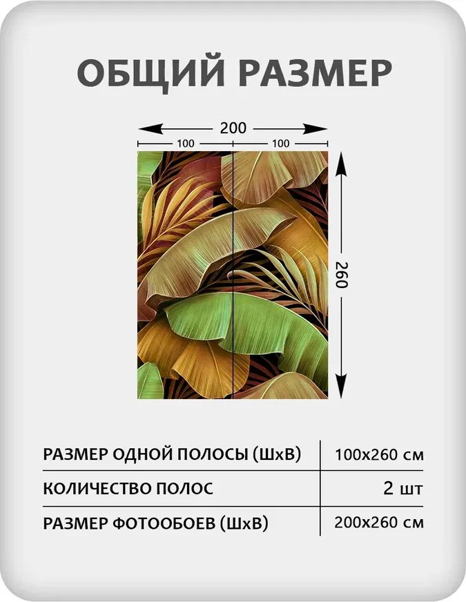 Фотообои листовые Citydecor Знойные тропики 50 (200x260см) — фото 3