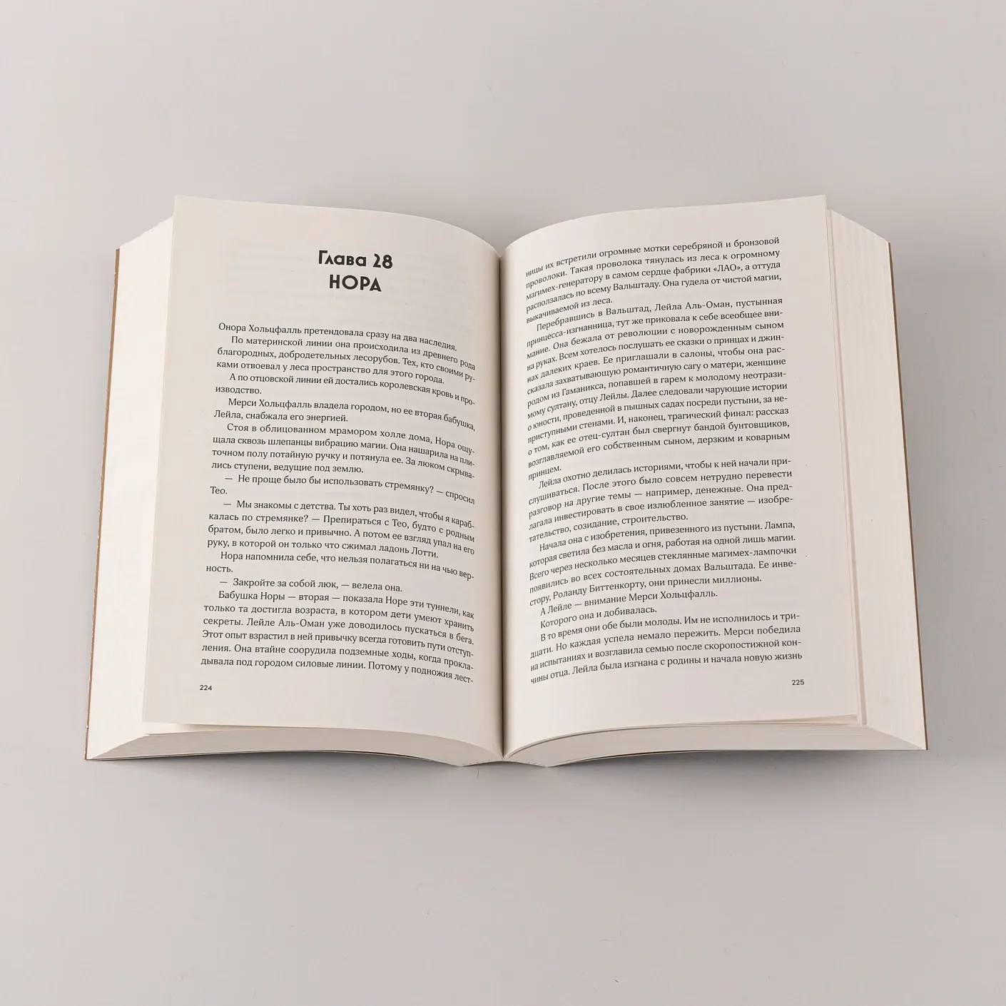 Художественная книга Альпина Порочные идеалы (Гамильтон Элвин 9785006304154) — фото 2