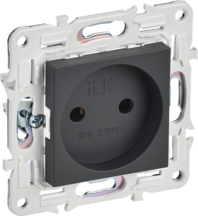 Розетка IEK Skandy SK-R10-10-K48 (титан)