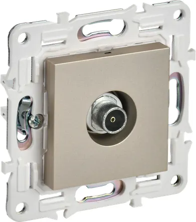 Розетка IEK Skandy SK-A10-O-K37 (шампань)