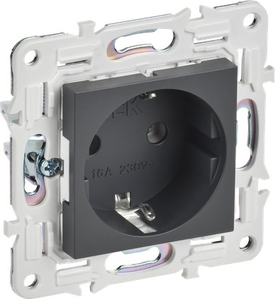 Розетка IEK Skandy SK-R11-16-K48 (титан)