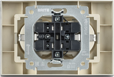 Розетка IEK Brite BR-R27-16-K47-F (алюминий) — фото 3