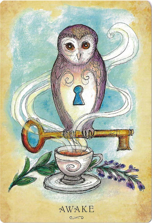 Гадальные карты Blue Angel Publishing Anatomy of a Witch Oracle Cards / LW077 — фото 3