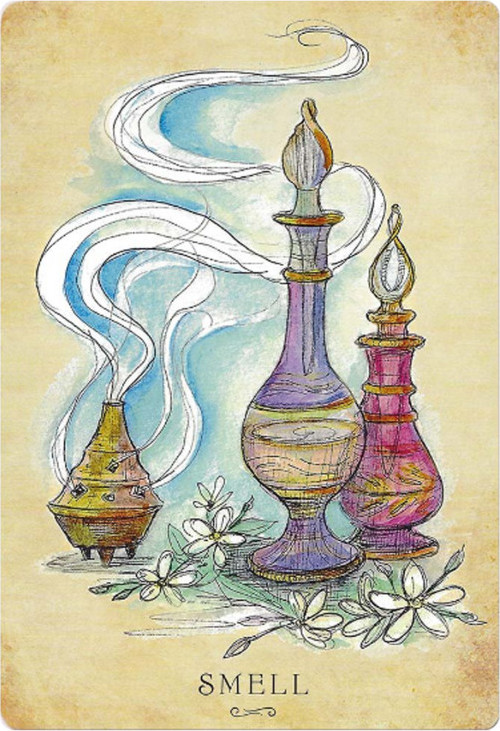 Гадальные карты Blue Angel Publishing Anatomy of a Witch Oracle Cards / LW077 — фото 5