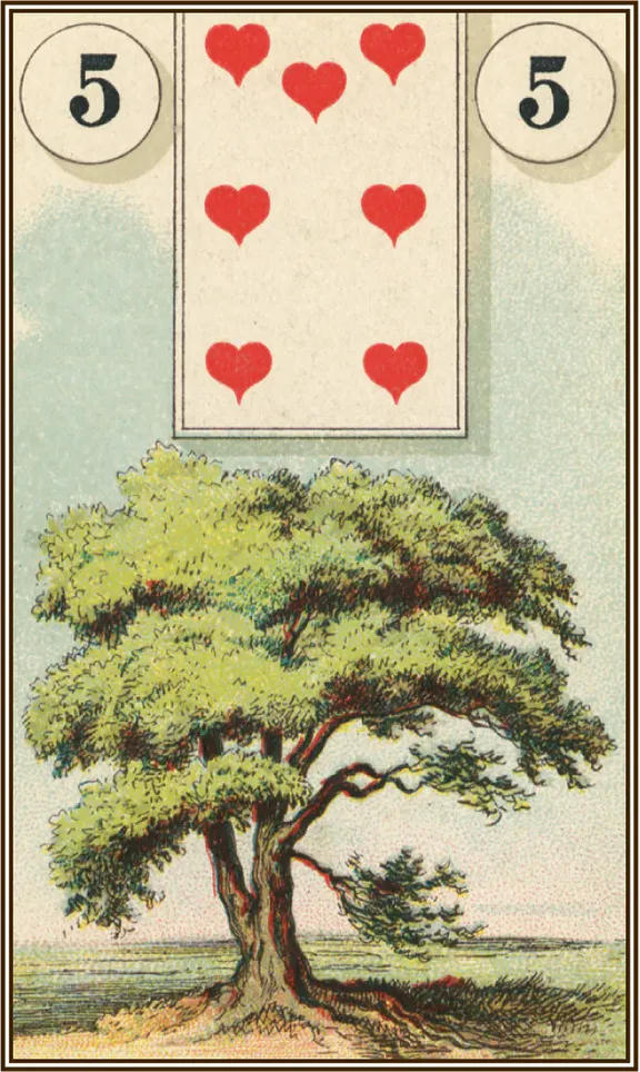 Гадальные карты Lo Scarabeo DI Roberto French Cartomancy / EX106 — фото 4
