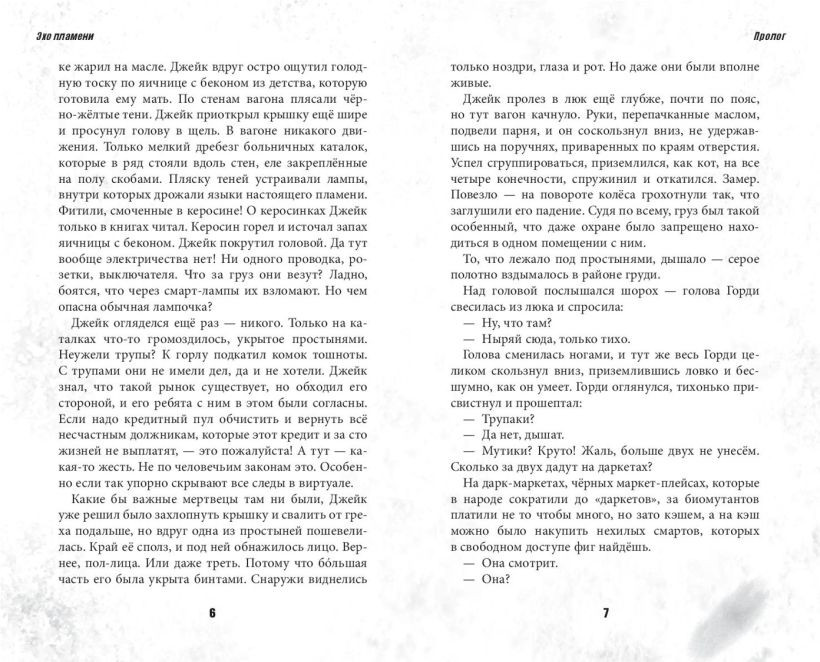 Художественная книга Эксмо Bullet Echo. Эхо пламени (Кожевникова Н.А., 9785041917579) — фото 4