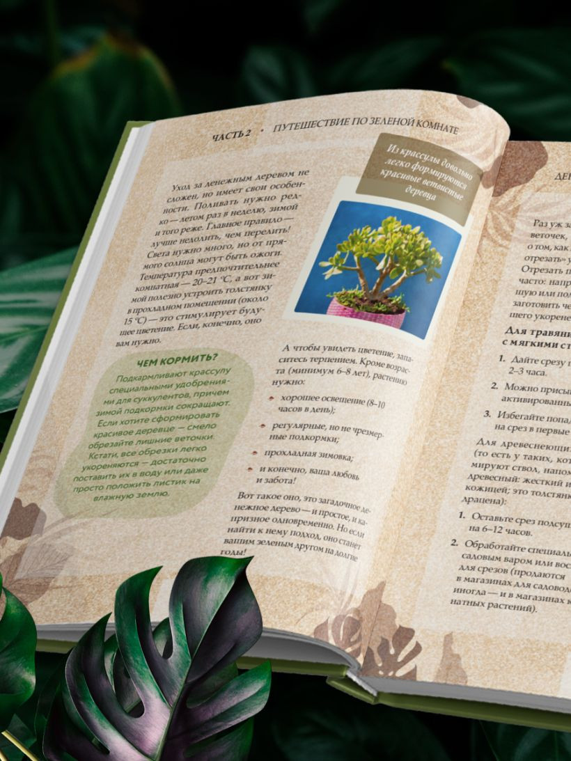 Книга Бомбора Зеленая комната (Зеленов Илья 9785041999148) — фото 2