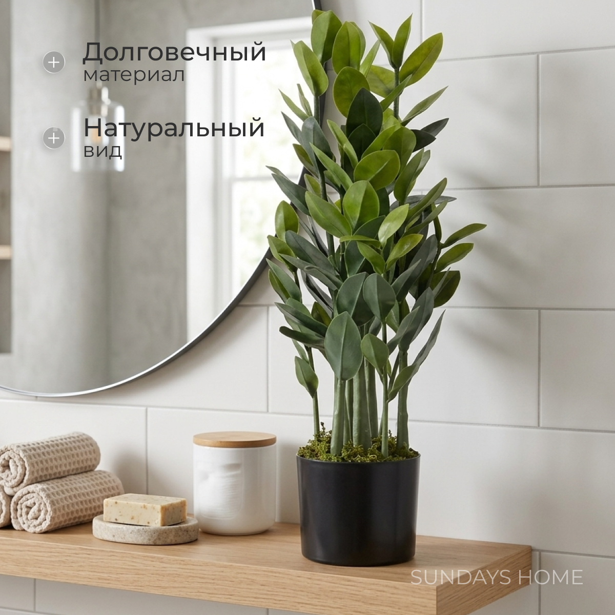 Искусственное растение Sundays Home Денежное дерево / BC10104 (75см) — фото 2