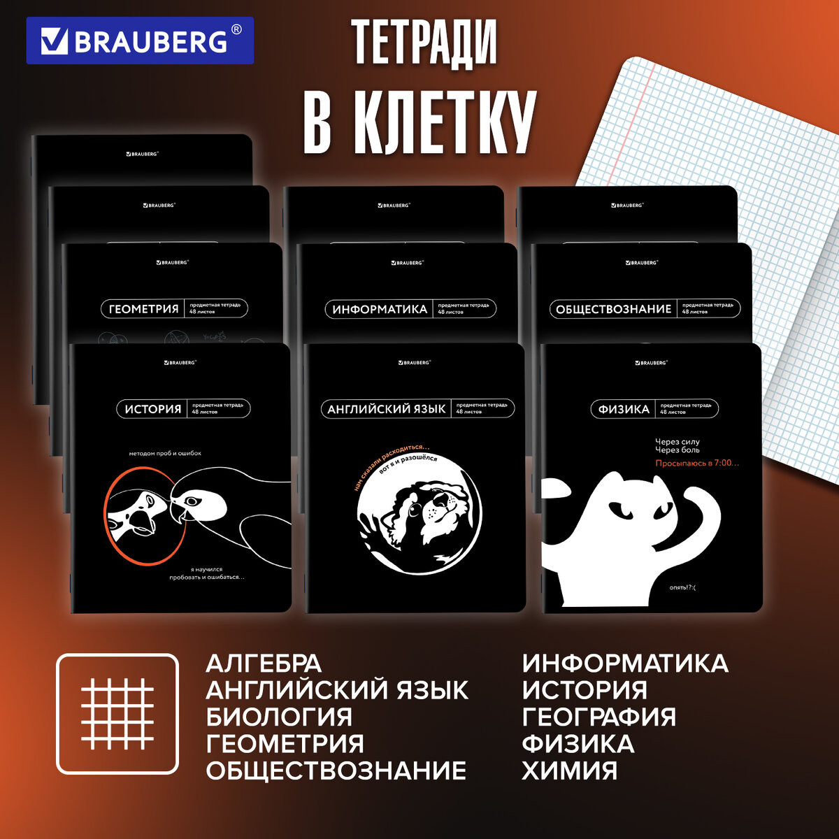 Набор предметных тетрадей Brauberg Мемы / 405172 (12шт) — фото 3