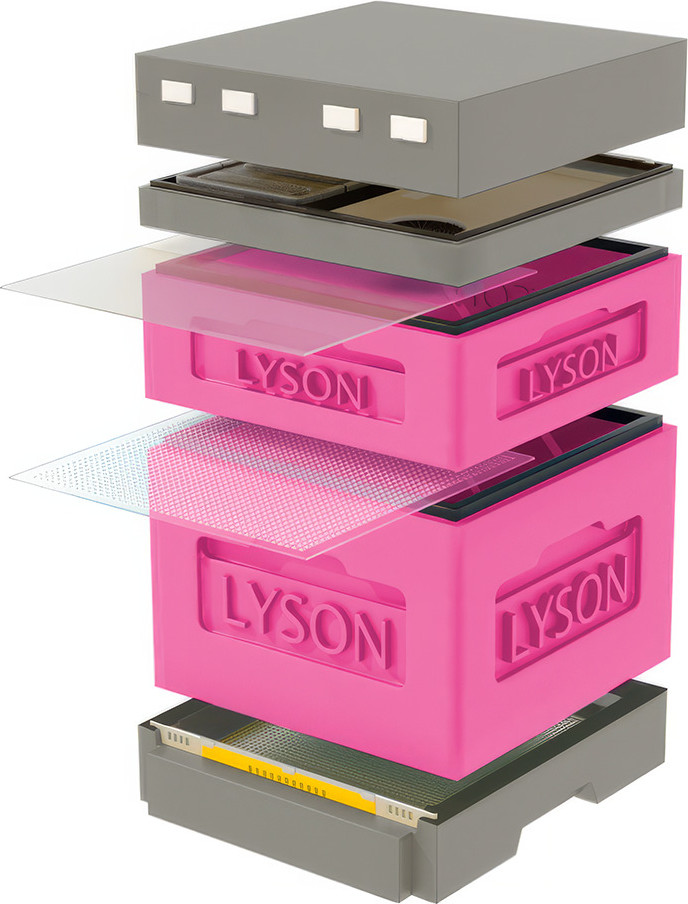 Улей Lyson Дадан На 12 Рамок / K122PG (розовый/серый)