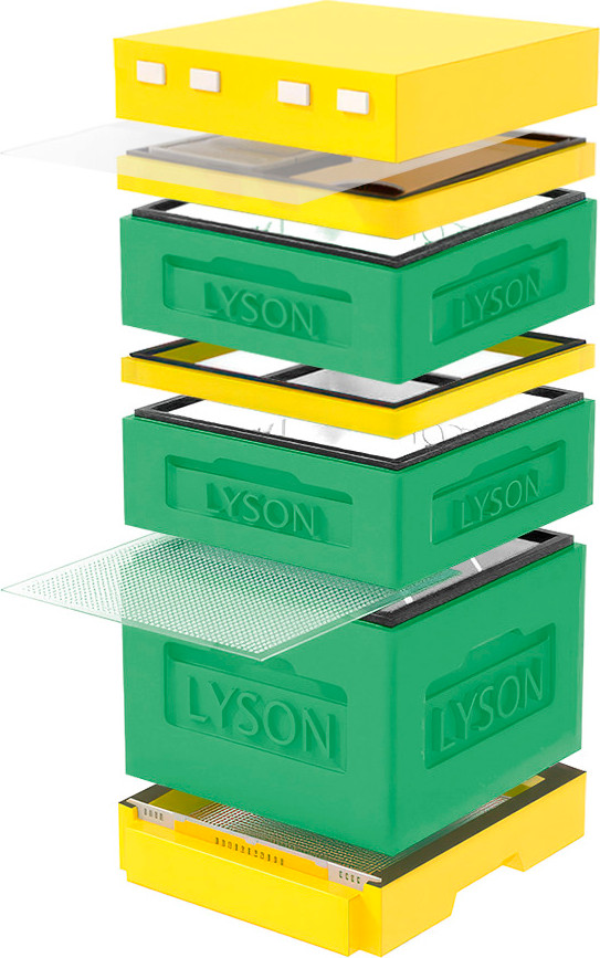 Улей Lyson Дадан На 12 Рамок / K123GY (зеленый/желтый)