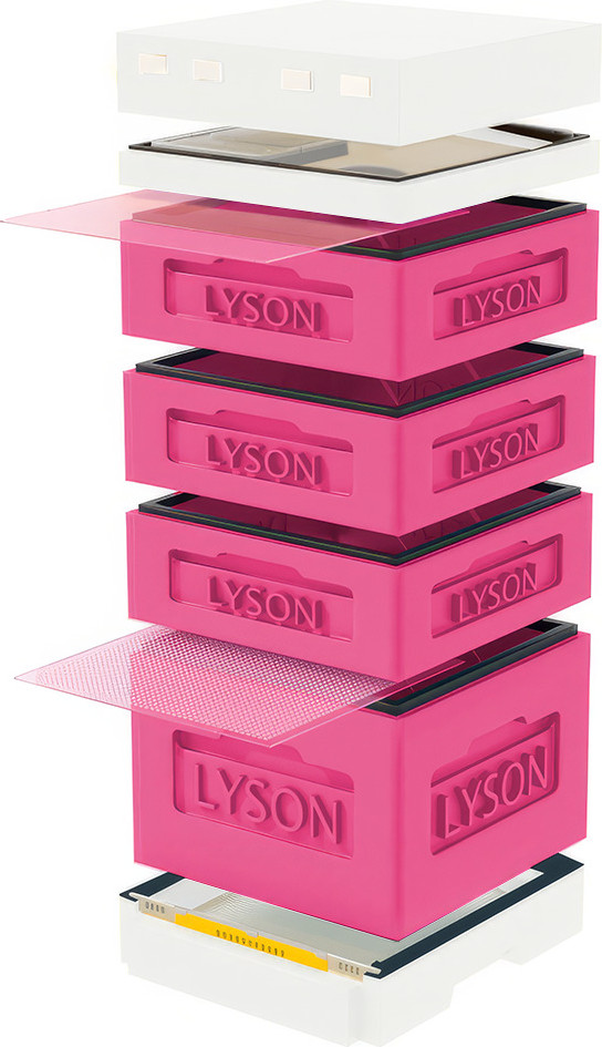 Улей Lyson Дадан На 12 Рамок / K126PW (розовый/неокрашенный)