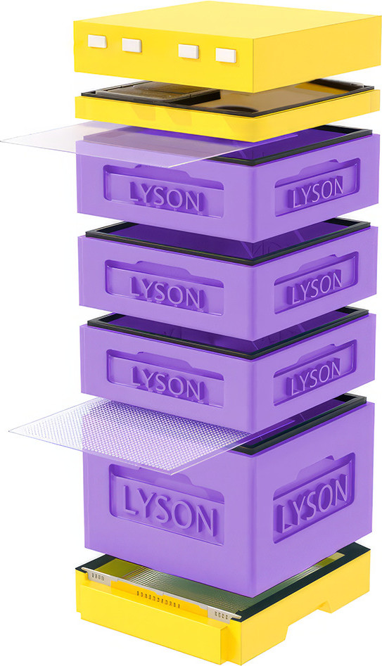 Улей Lyson Дадан На 12 Рамок / K126PUY (фиолетовый/желтый)