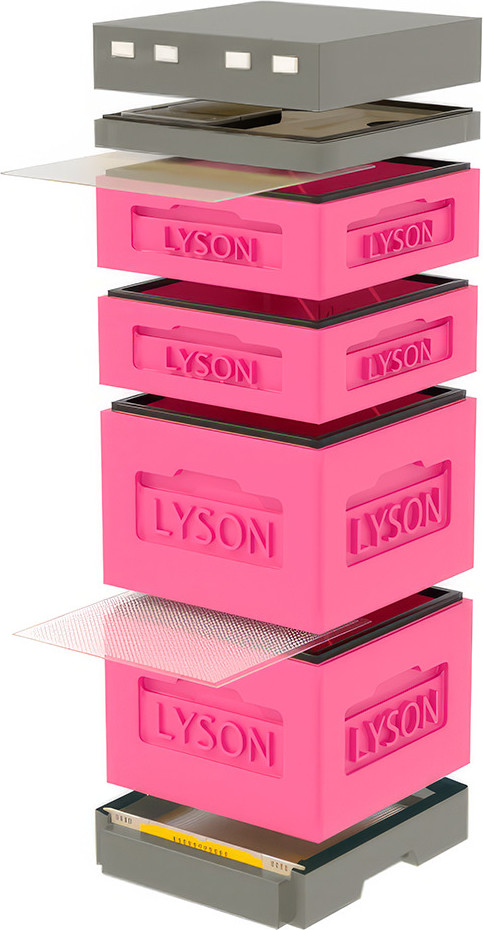 Улей Lyson Дадан На 12 Рамок / K127PG (розовый/серый)