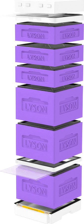 Улей Lyson Дадан На 12 Рамок / K128PUW (фиолетовый/неокрашенный)