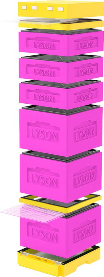 Улей Lyson Дадан На 12 Рамок / K128PY (розовый/желтый)