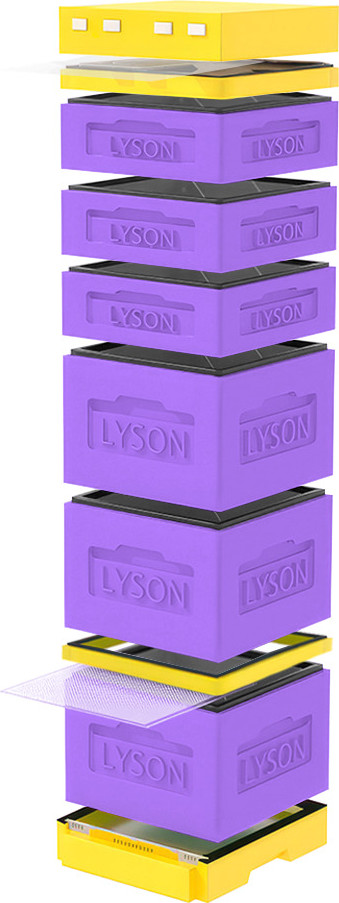 Улей Lyson Дадан На 12 Рамок / K128PUY (фиолетовый/желтый)