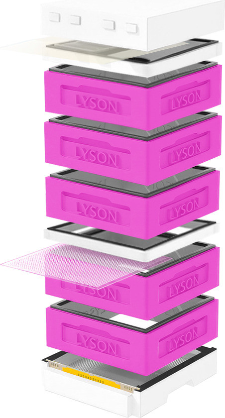 Улей Lyson Дадан На 12 Рамок / K129PW (розовый/неокрашенный)