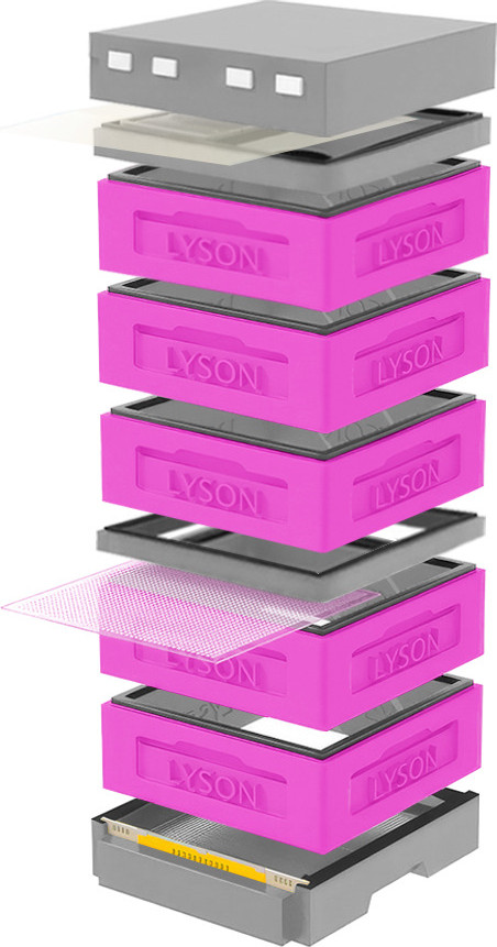 Улей Lyson Дадан На 12 Рамок / K129PG (розовый/серый)